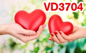 VD3704 - LOVE