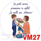 VM27